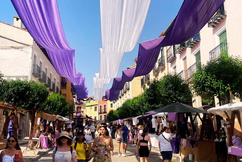 Excursión a los campos de lavanda de Brihuega