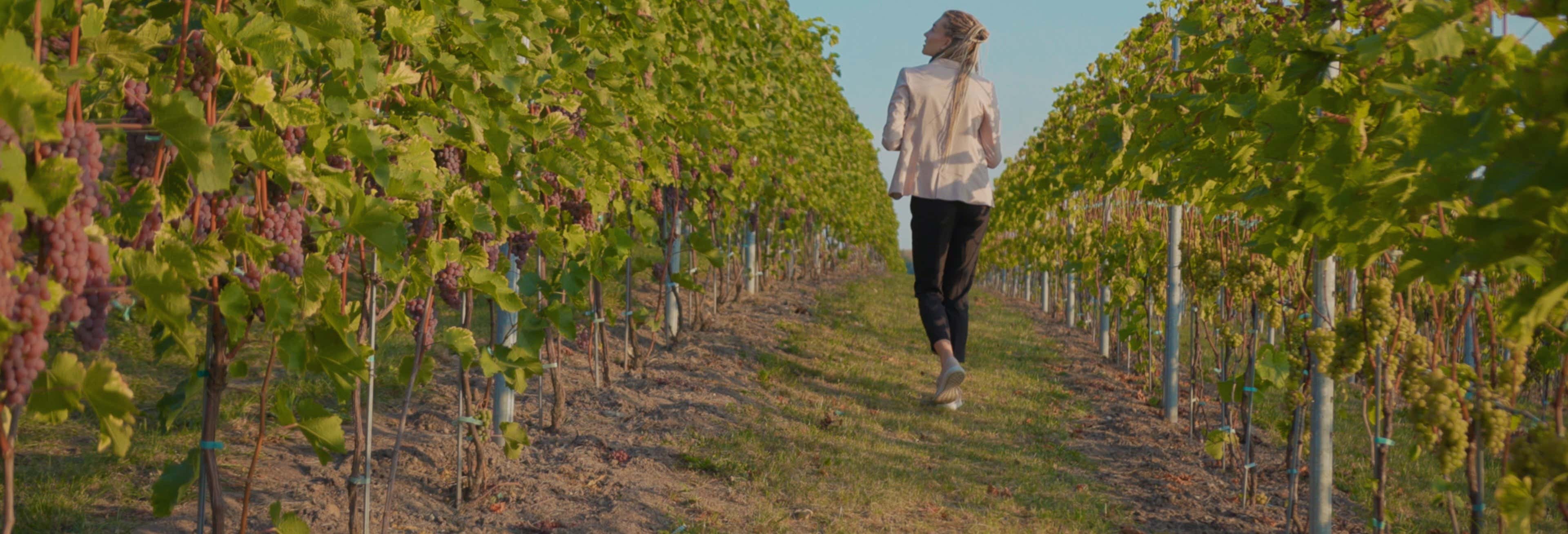 Visita alle cantine Buezo