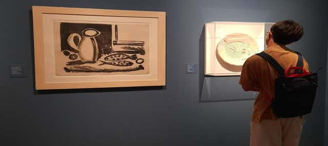 Biglietti del Museo Casa Natal Picasso