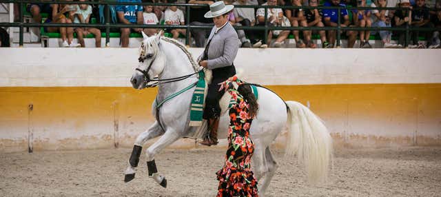 Spettacolo equestre a El Ranchito