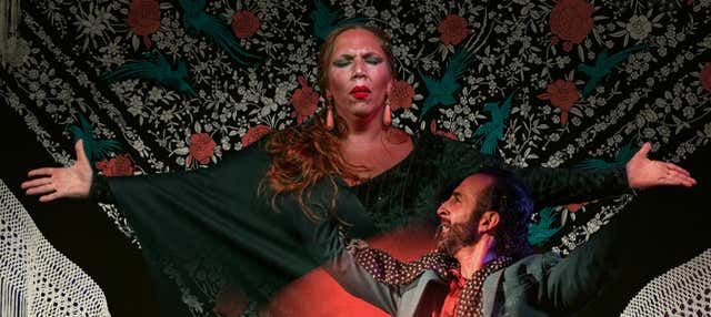Spettacolo di flamenco all'Alegría