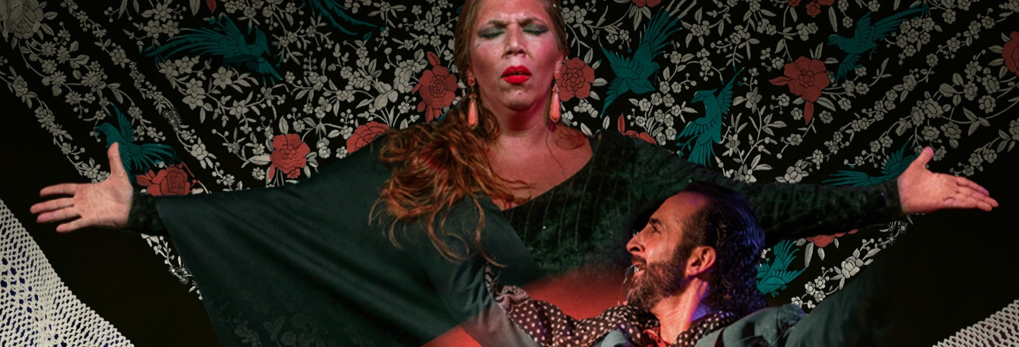 Espectáculo flamenco en Alegría