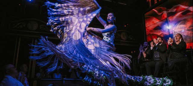 Spettacolo al Teatro Flamenco Málaga