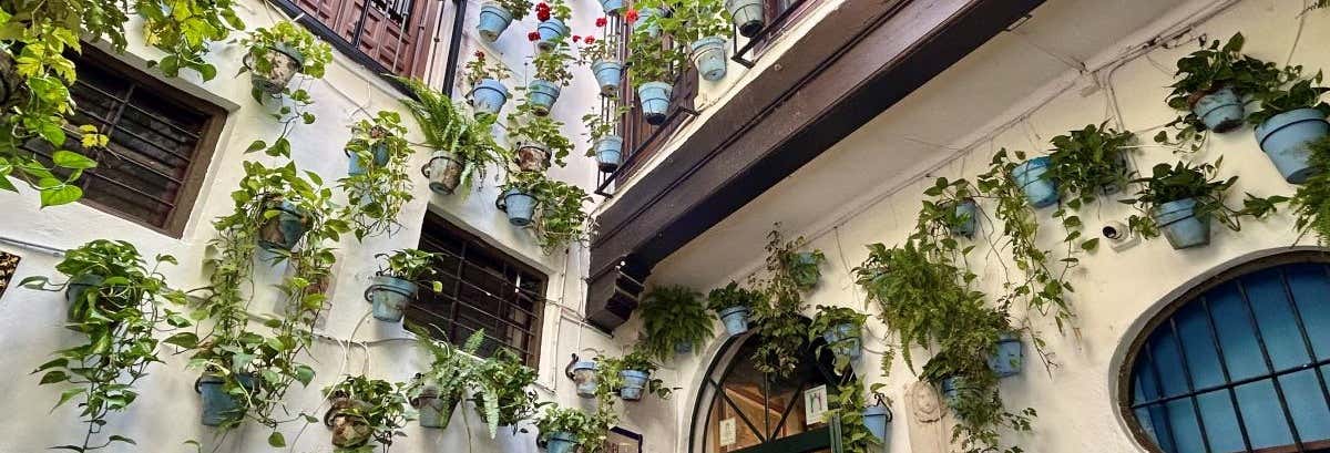 Free tour por la cara oculta de Málaga