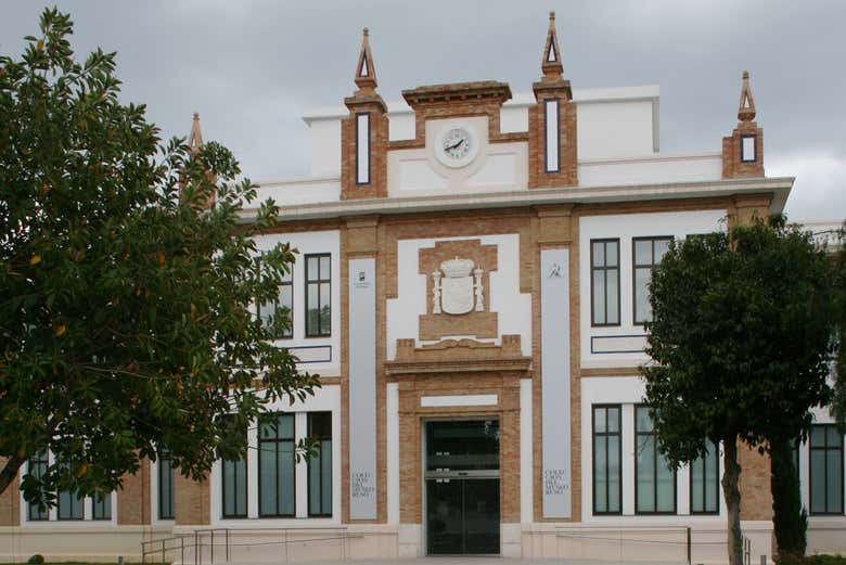 Imagen 4