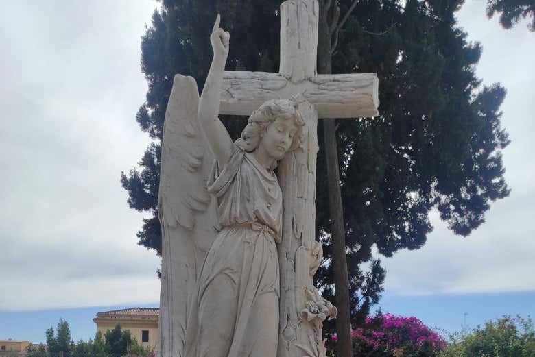 Imagen 5