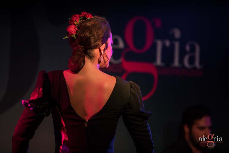 Imagen 10
