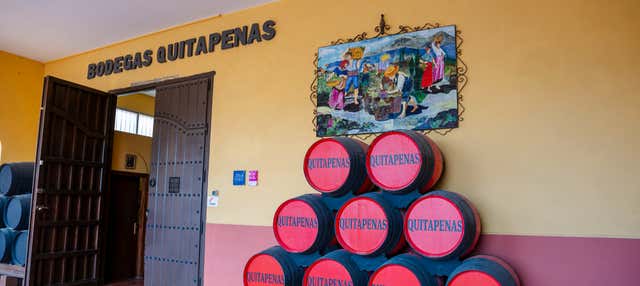 Visita alla cantina Bodegas Quitapenas