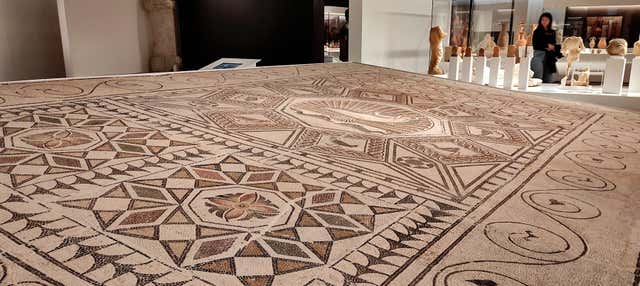 Visita guidata del Museo Archeologico di Malaga