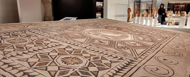 Visite guidée du musée archéologique de Malaga