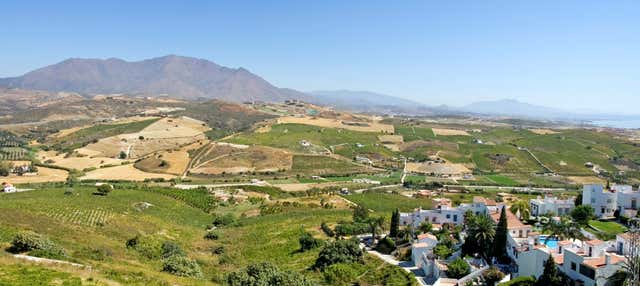 Tour del vino a Manilva