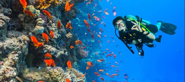 Immersione per principianti a Gran Canaria