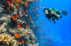 Scuba Diving for Beginners