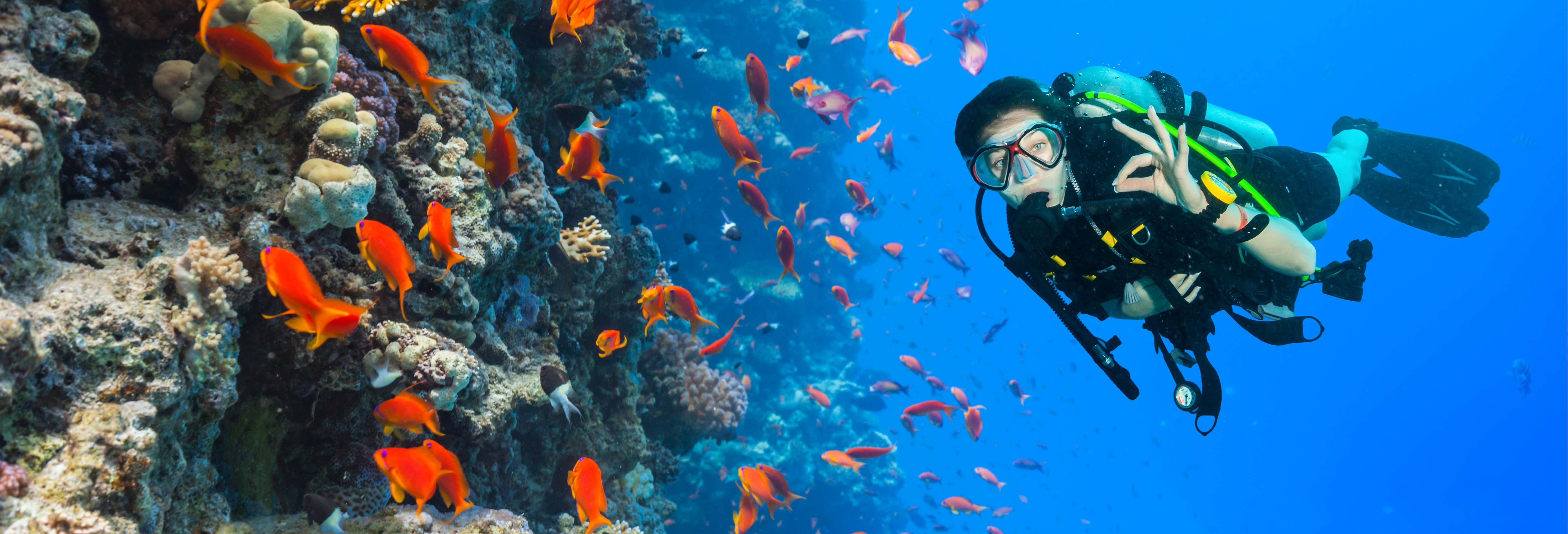 Scuba Diving for Beginners