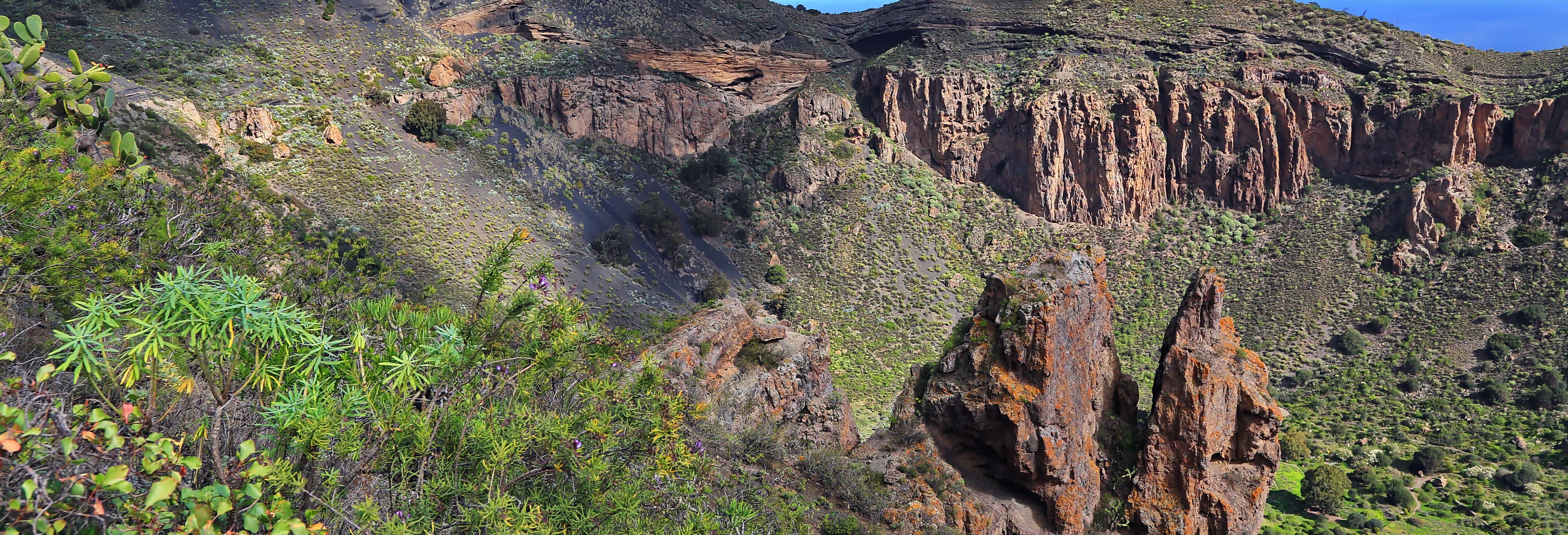 Tour di Las Palmas e della Caldera de Bandama