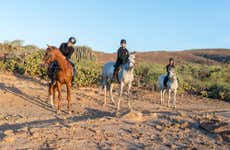El Salobre Horse Riding