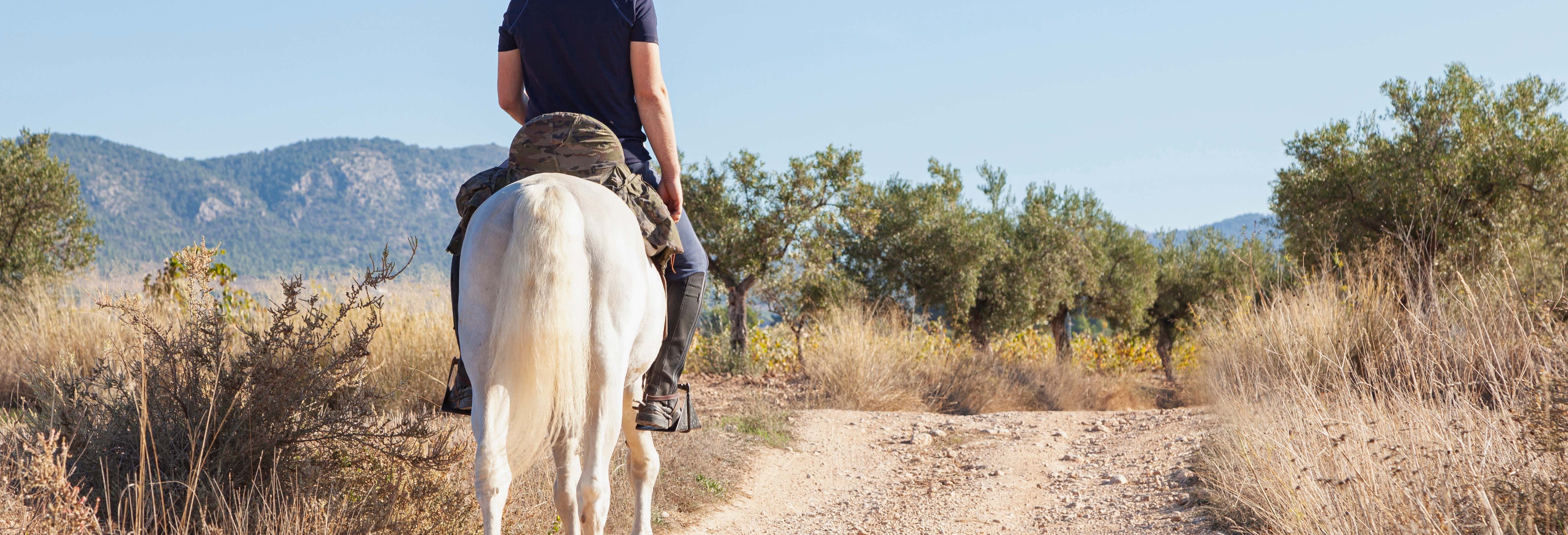 El Salobre Horse Riding Activity