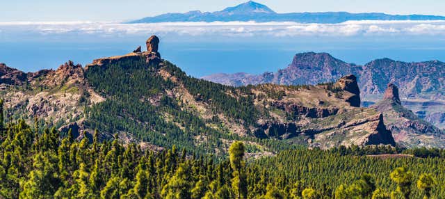 Tour completo di Gran Canaria