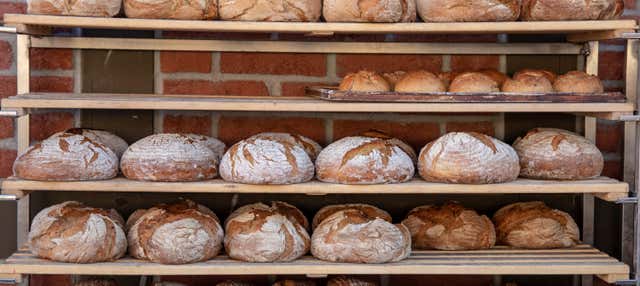 Biglietti per il Museo del Pane