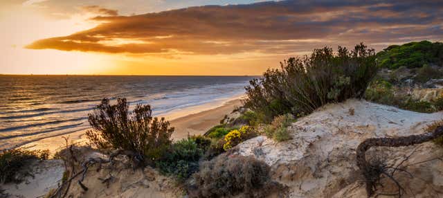 Giro in barca sull'estuario di Huelva al tramonto