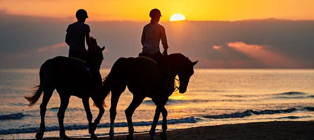 Passeggiata a cavallo a Doñana al tramonto