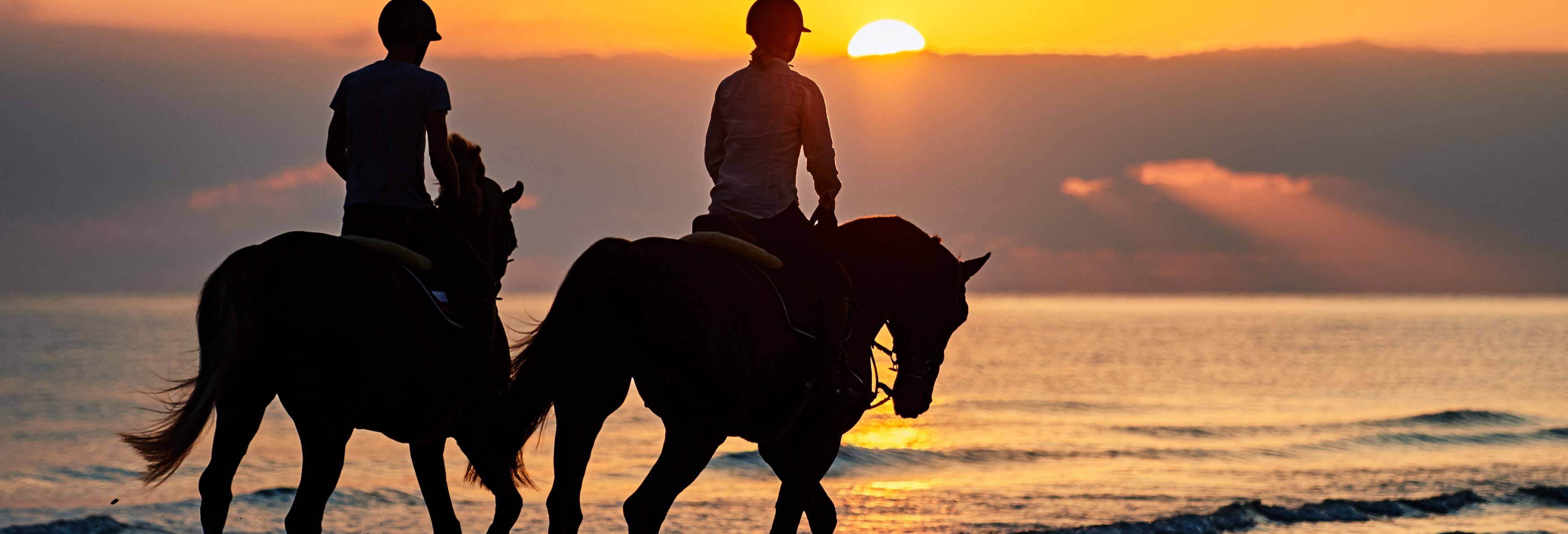 Doñana National Park Sunset Horse Ride