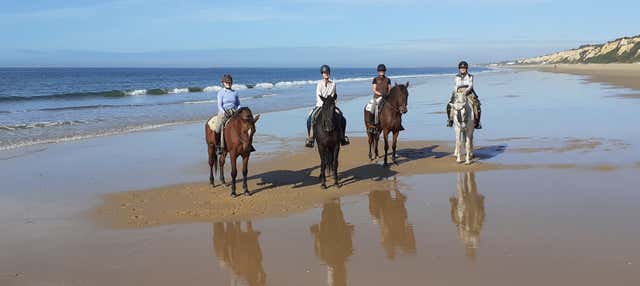 Passeggiata a cavallo a Doñana