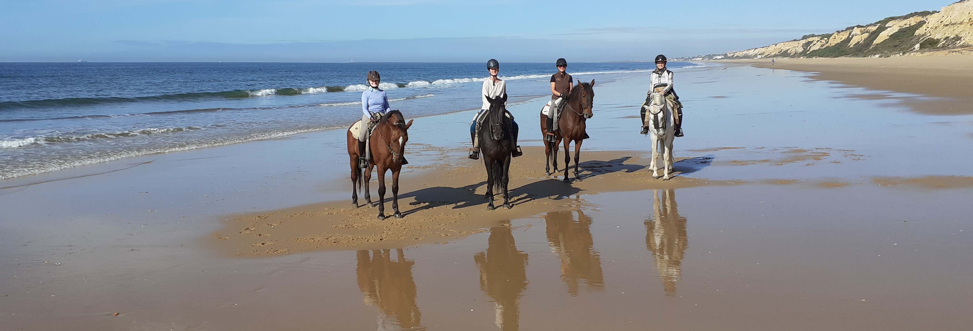 Doñana National Park Horse Riding Tour