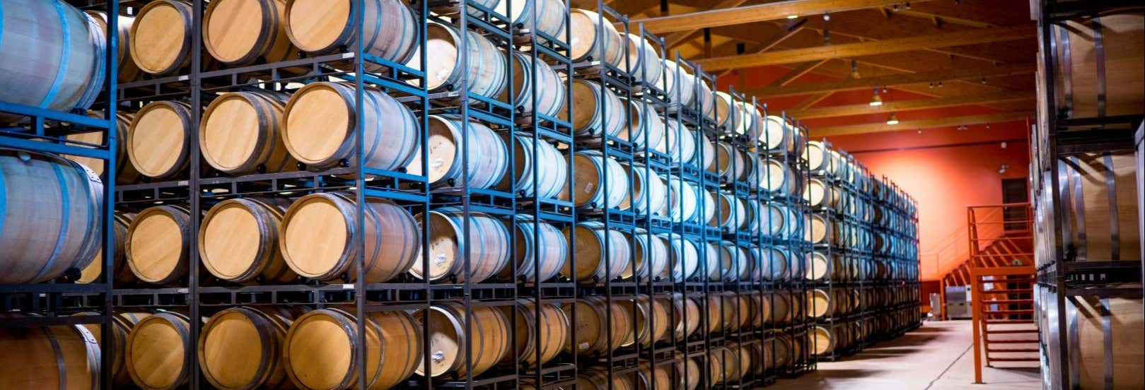 Visita alla cantina Emina Rueda