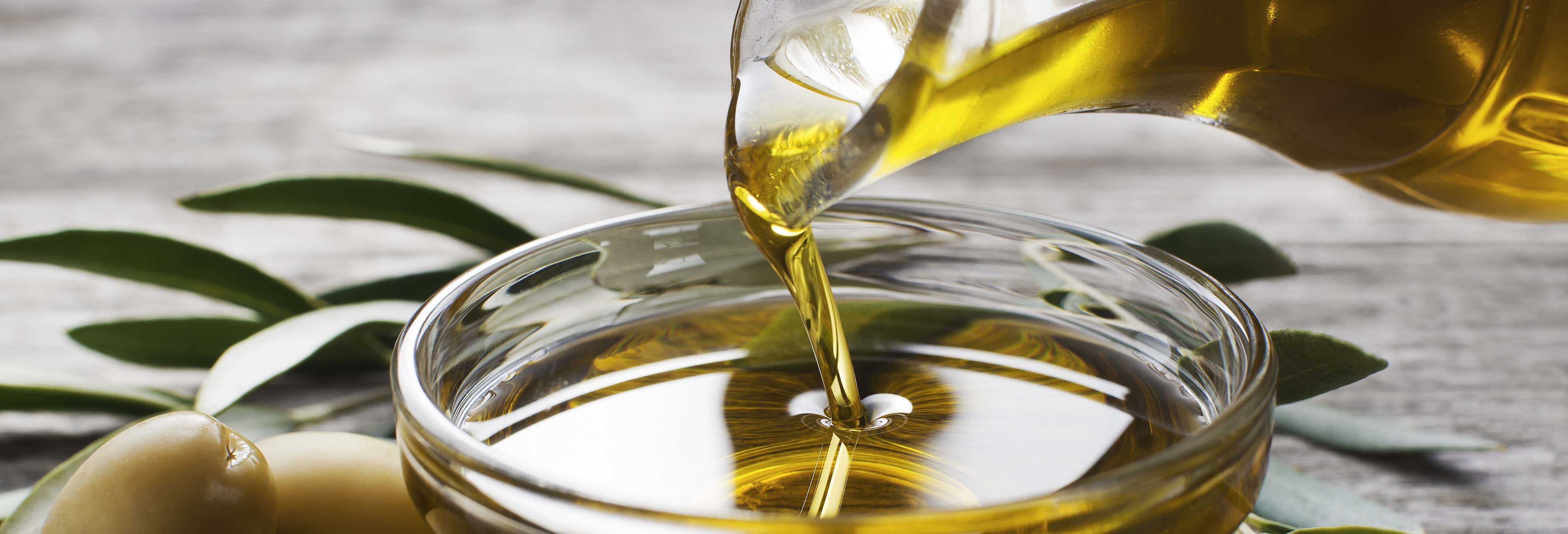 Visita al frantoio San Vicente