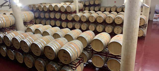 Visita della cantina Mont Reaga