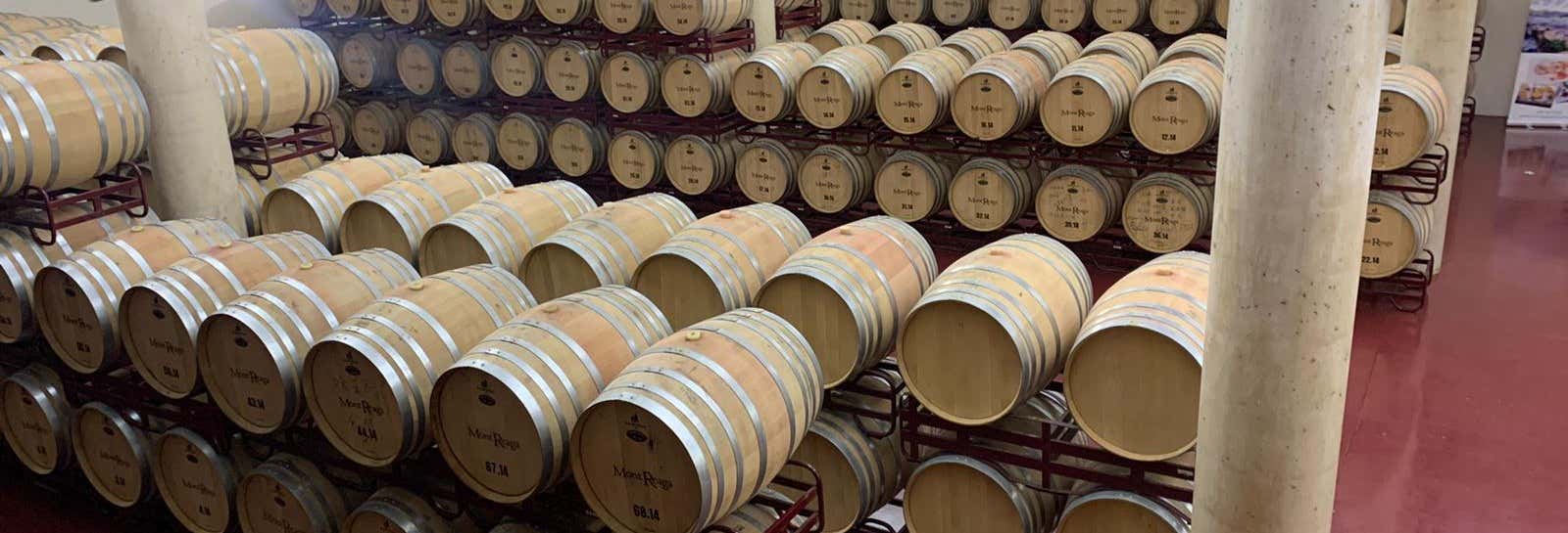 Visita della cantina Mont Reaga