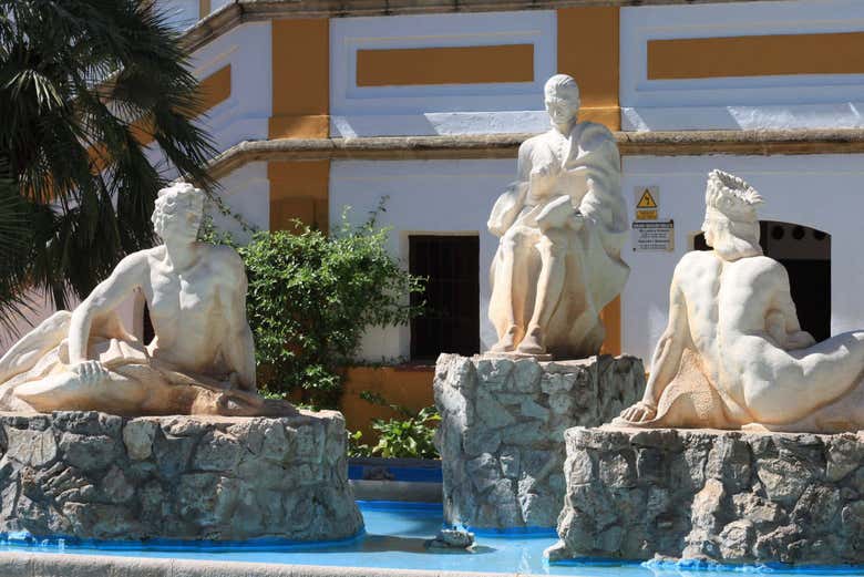 Imagen 6