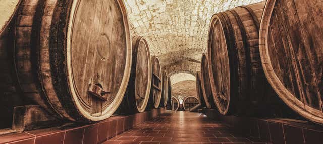 Visita della cantina Pérez Barquero