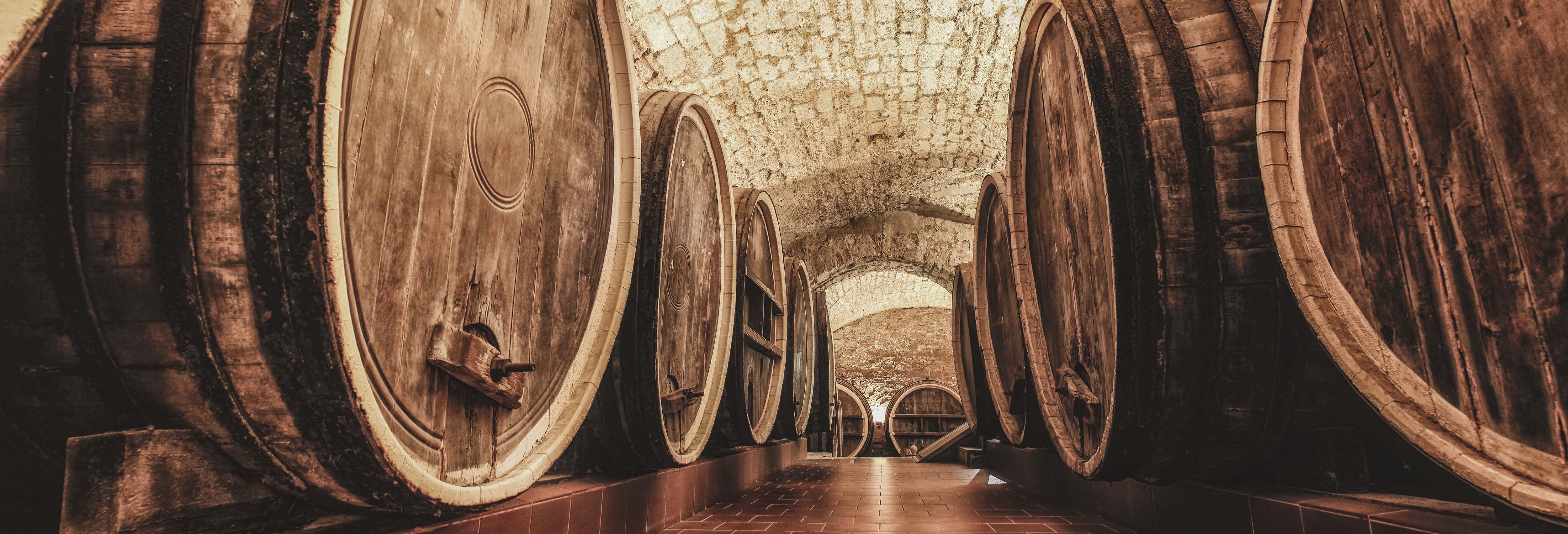 Visita della cantina Pérez Barquero