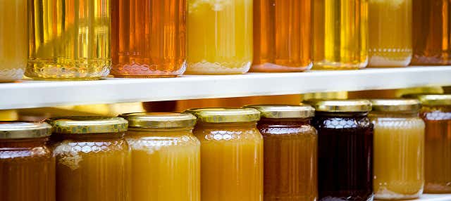 Visita a una fabbrica di miele