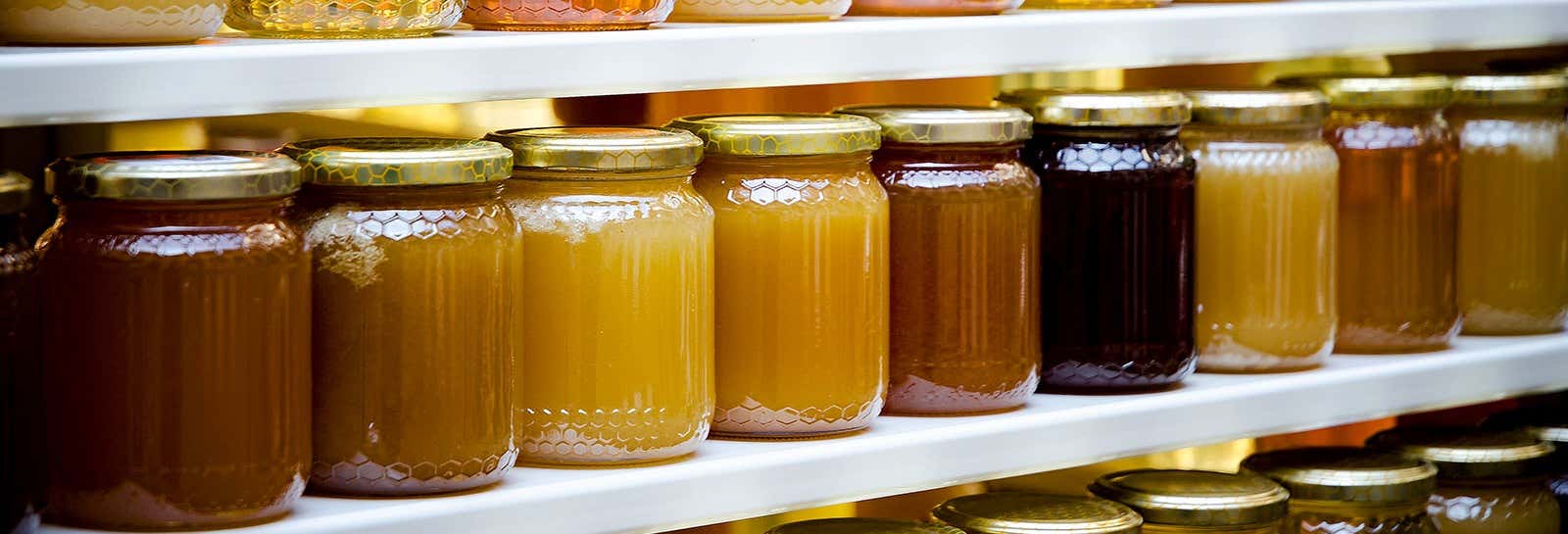 Visita a una fabbrica di miele