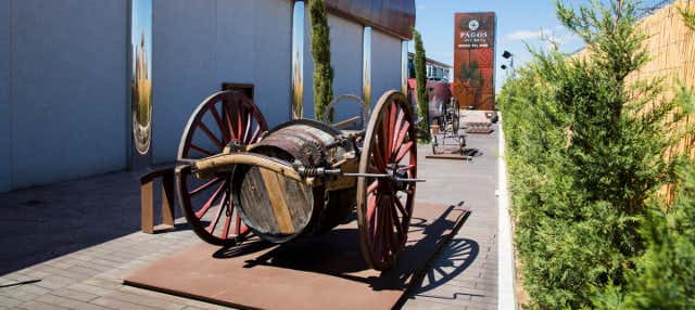 Visita guidata del Museo del Vino Pagos del Rey
