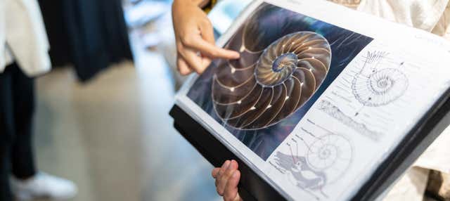 Giro in barca al Flysch Nero di Mutriku + Centro d'Interpretazione Nautilus