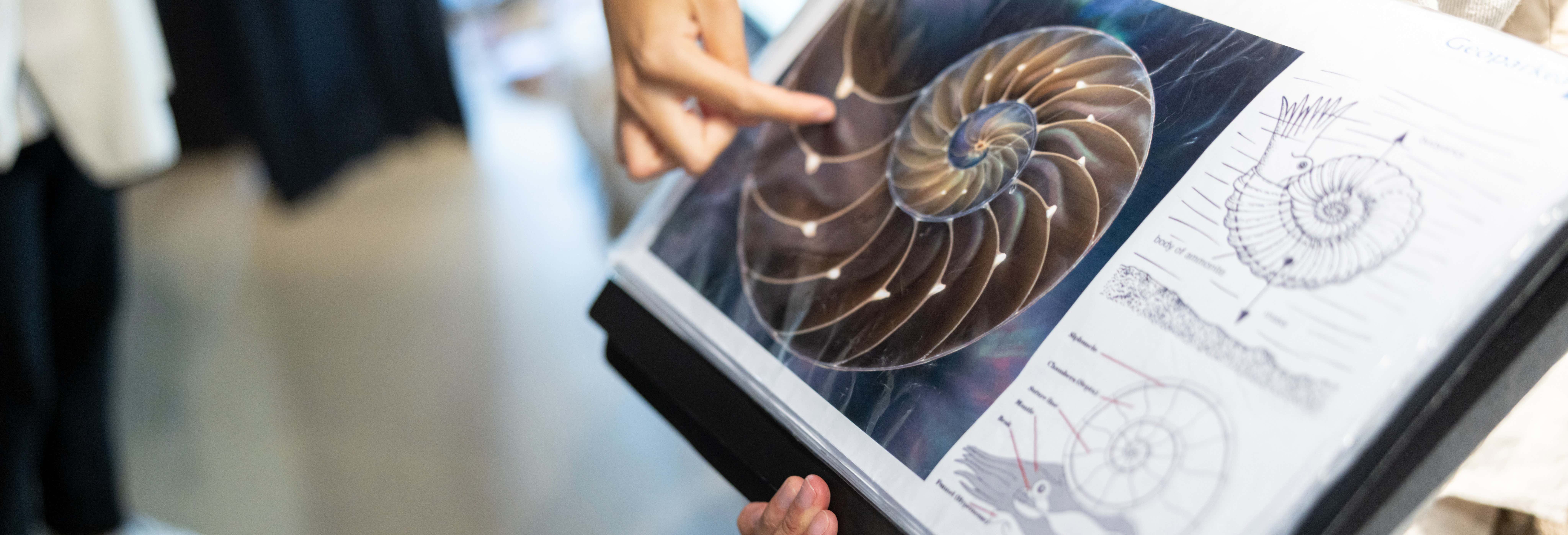 Giro in barca al Flysch Nero di Mutriku + Centro d'Interpretazione Nautilus