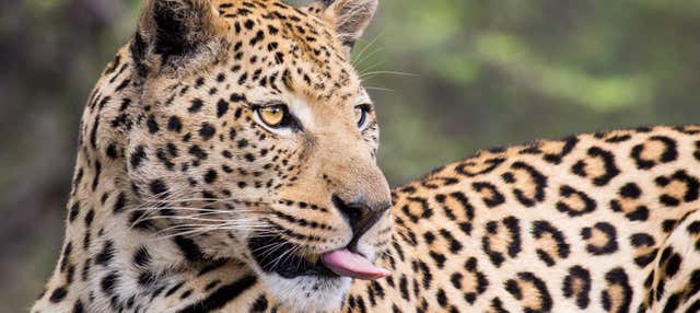 Biglietti per Terra Natura Murcia