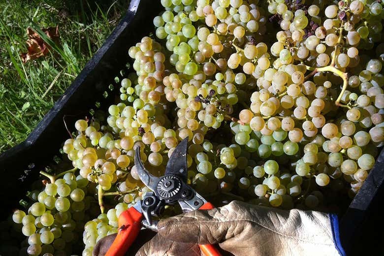 Imagen 6