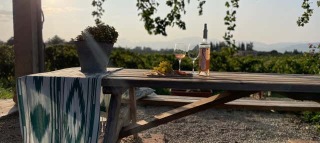 Visita alla cantina Butxet