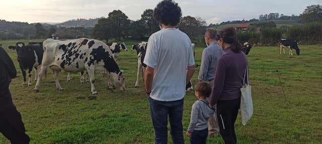 Visita a una fattoria di vacche da latte