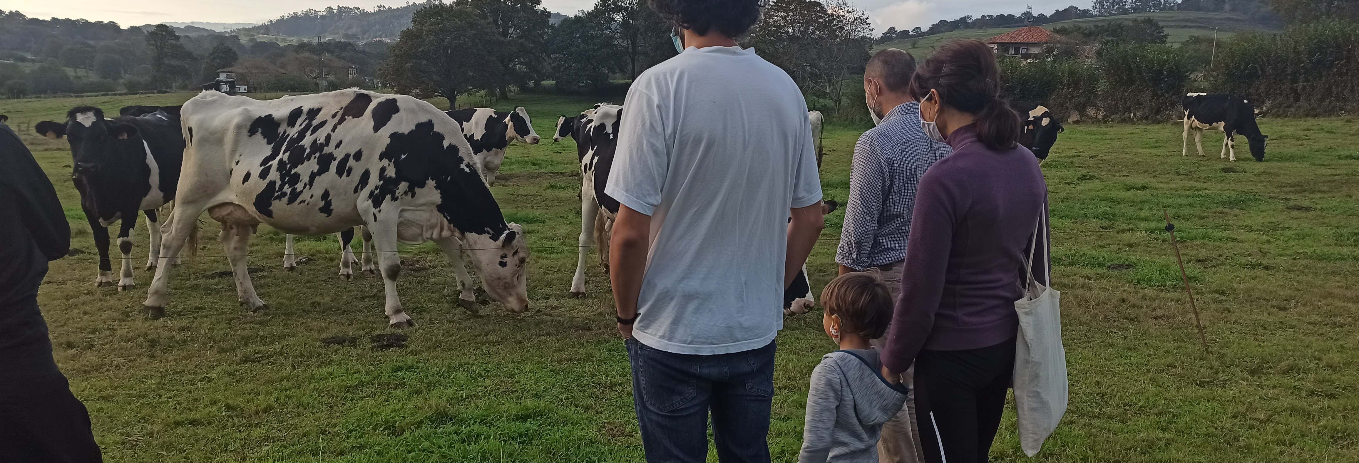 Visita a una fattoria di vacche da latte