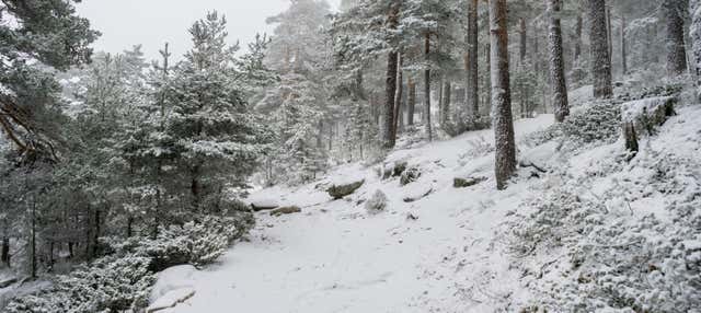 Passeggiata con le racchette da neve nella Sierra de Guadarrama