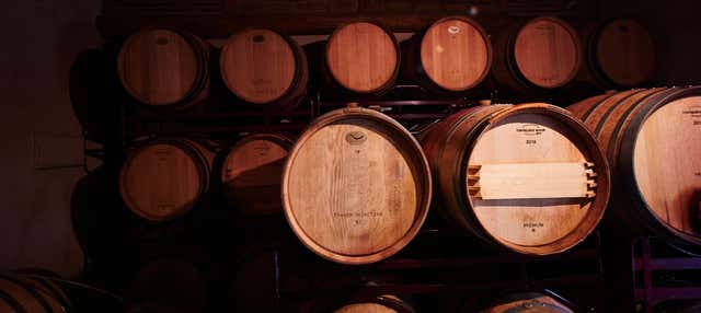 Visita alla cantina Las dos Antiguas