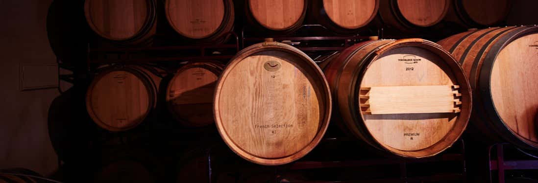 Visita alla cantina Las dos Antiguas