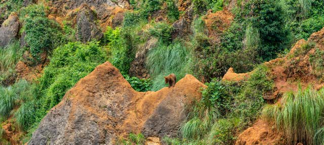 Biglietti per Cabárceno