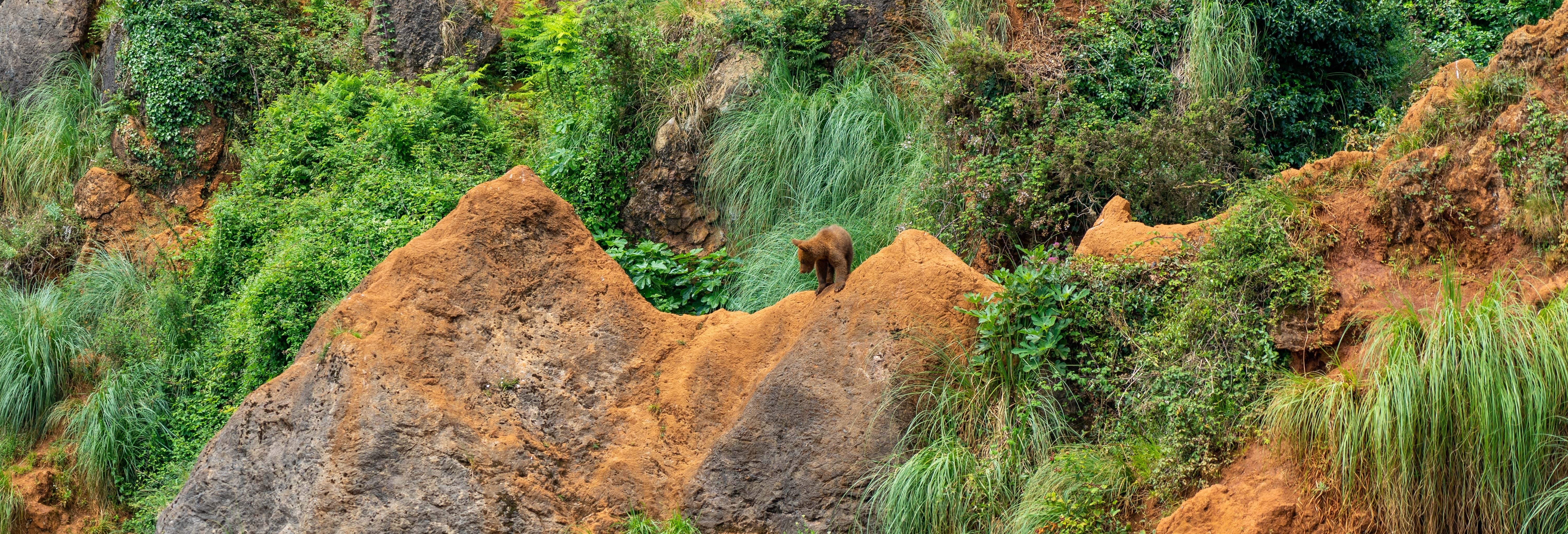 Cabárceno Natural Park Ticket